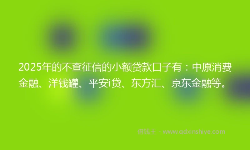 2025年的不查征信的小额贷款口子有：中原消费金融、洋钱罐、平安i贷、东方汇、京东金融等。