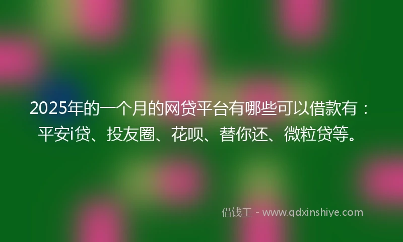 2025年的一个月的网贷平台有哪些可以借款有：平安i贷、投友圈、花呗、替你还、微粒贷等。