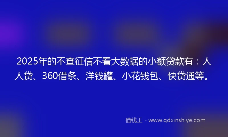 2025年的不查征信不看大数据的小额贷款有：人人贷、360借条、洋钱罐、小花钱包、快贷通等。