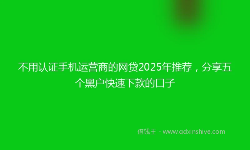 不用认证手机运营商的网贷2025年推荐，分享五个黑户快速下款的口子