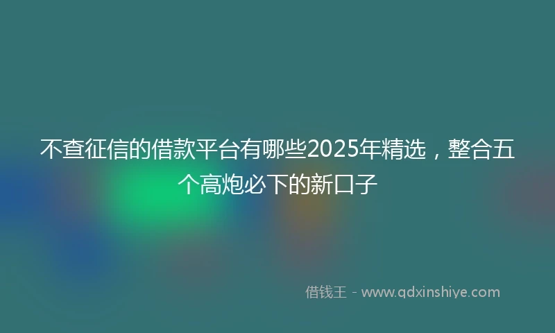 不查征信的借款平台有哪些2025年精选，整合五个高炮必下的新口子