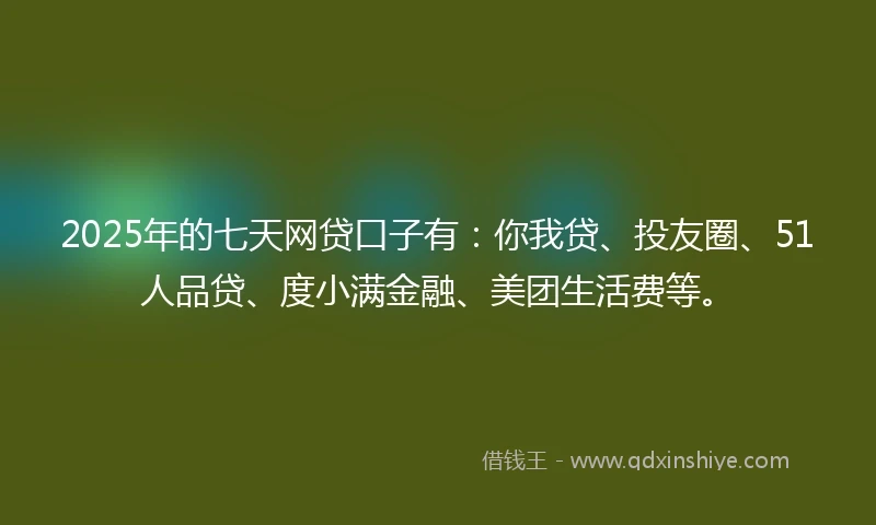 2025年的七天网贷口子有：你我贷、投友圈、51人品贷、度小满金融、美团生活费等。