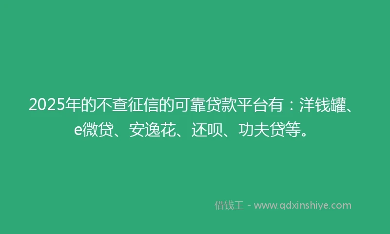 2025年的不查征信的可靠贷款平台有：洋钱罐、e微贷、安逸花、还呗、功夫贷等。