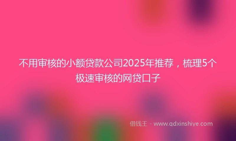 不用审核的小额贷款公司2025年推荐，梳理5个极速审核的网贷口子