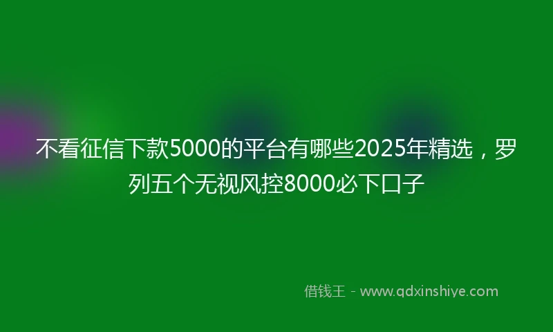 不看征信下款5000的平台有哪些2025年精选，罗列五个无视风控8000必下口子