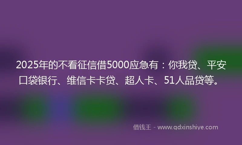2025年的不看征信借5000应急有:你我贷、平安口袋银行、维信卡卡贷、超人卡、51人品贷等。
