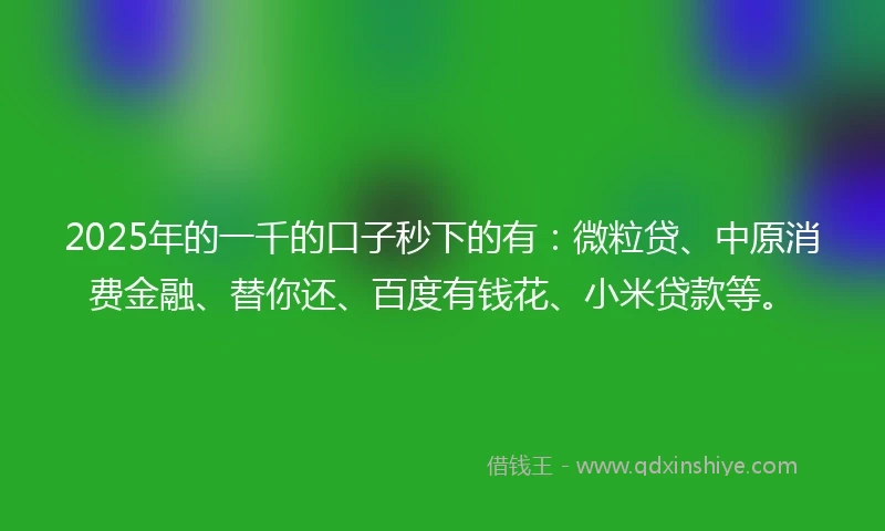 2025年的一千的口子秒下的有：微粒贷、中原消费金融、替你还、百度有钱花、小米贷款等。