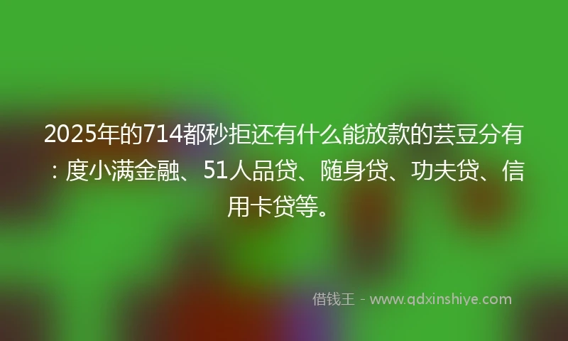2025年的714都秒拒还有什么能放款的芸豆分有:度小满金融、51人品贷、随身贷、功夫贷、信用卡贷等。