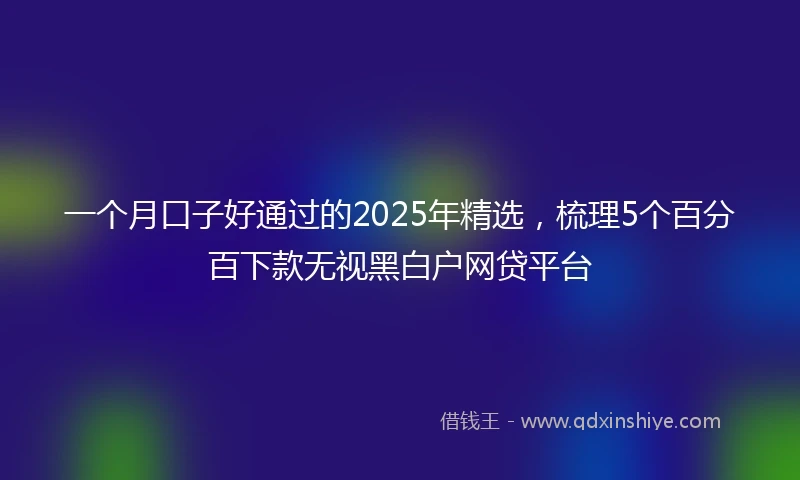 一个月口子好通过的2025年精选，梳理5个百分百下款无视黑白户网贷平台