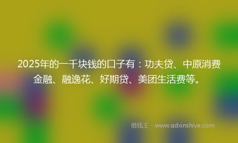 2025年的一千块钱的口子有：功夫贷、中原消费金融、融逸花、好期贷、美团生活费等。