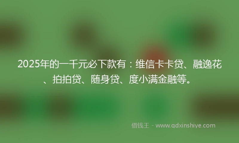 2025年的一千元必下款有：维信卡卡贷、融逸花、拍拍贷、随身贷、度小满金融等。
