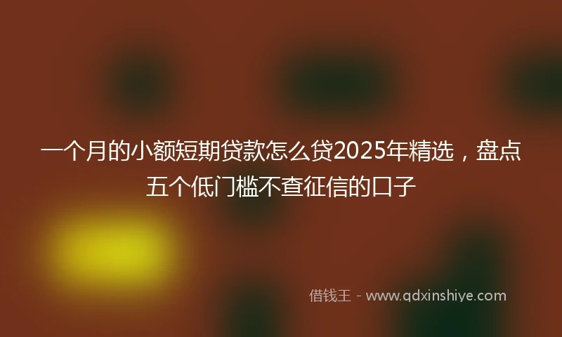 一个月的小额短期贷款怎么贷2025年精选，盘点五个低门槛不查征信的口子