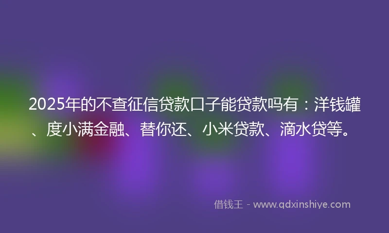 2025年的不查征信贷款口子能贷款吗有：洋钱罐、度小满金融、替你还、小米贷款、滴水贷等。