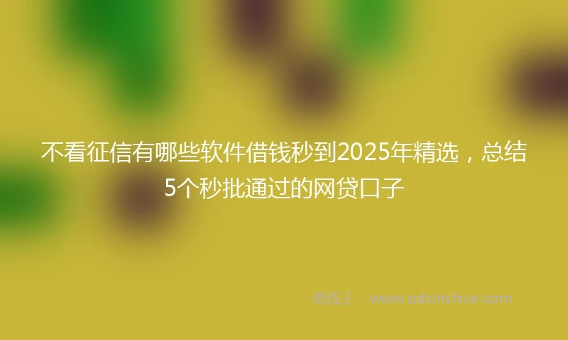 不看征信有哪些软件借钱秒到2025年精选，总结5个秒批通过的网贷口子