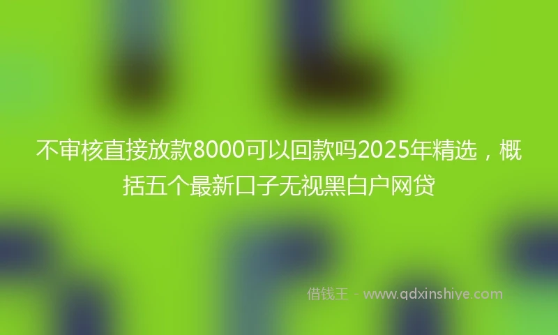 不审核直接放款8000可以回款吗2025年精选，概括五个最新口子无视黑白户网贷