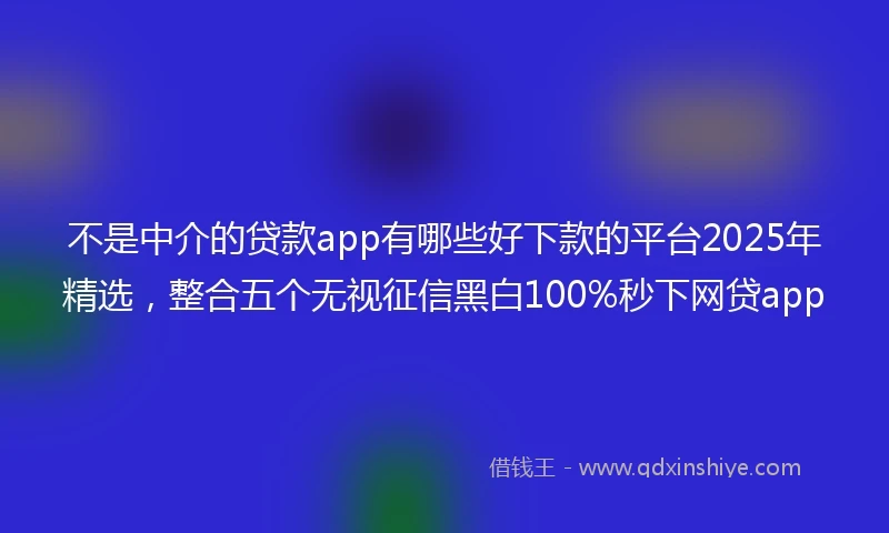 不是中介的贷款app有哪些好下款的平台2025年精选，整合五个无视征信黑白100%秒下网贷app