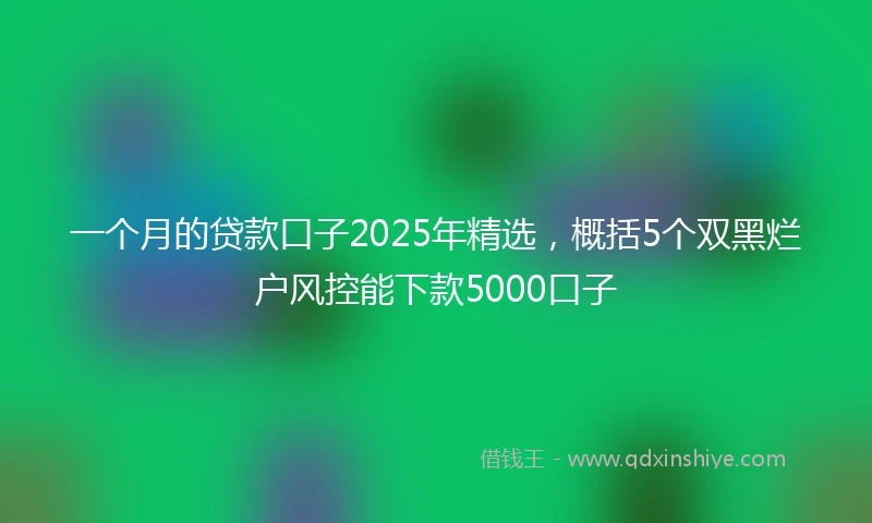一个月的贷款口子2025年精选，概括5个双黑烂户风控能下款5000口子