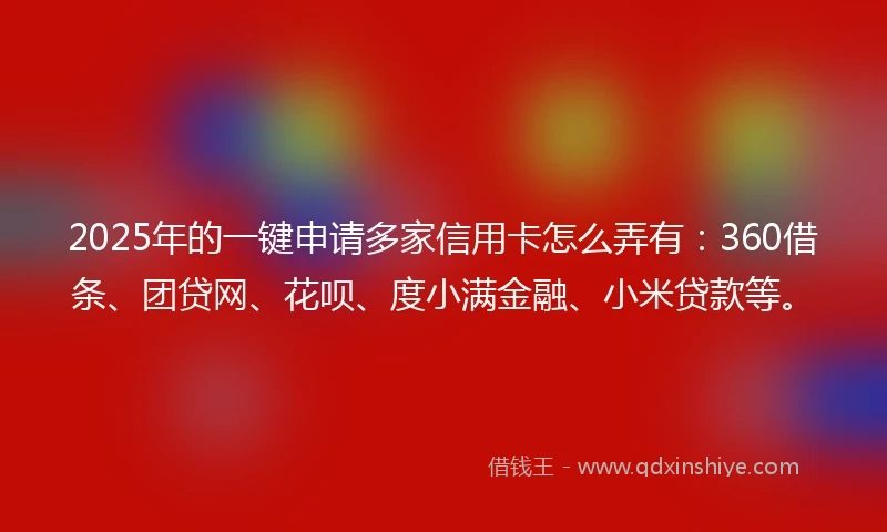 2025年的一键申请多家信用卡怎么弄有：360借条、团贷网、花呗、度小满金融、小米贷款等。