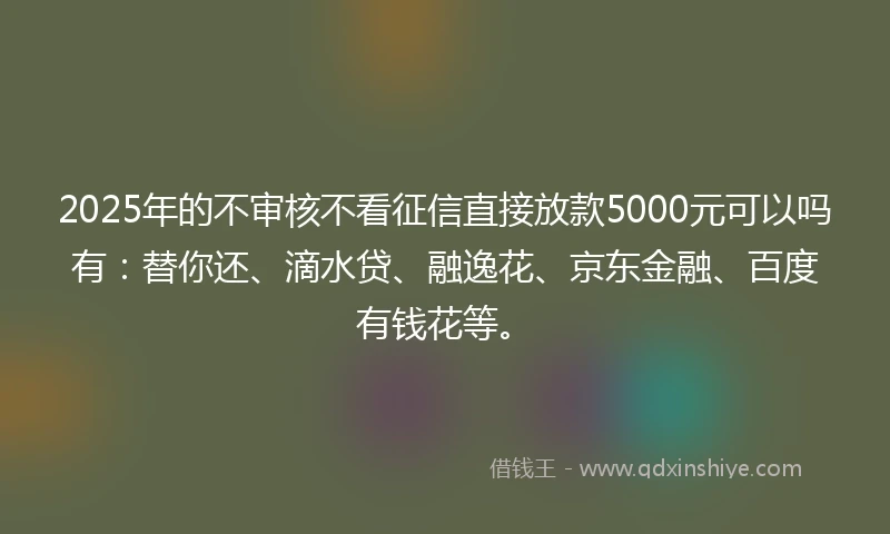 2025年的不审核不看征信直接放款5000元可以吗有：替你还、滴水贷、融逸花、京东金融、百度有钱花等。