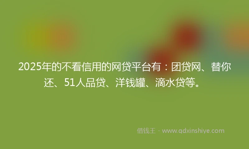 2025年的不看信用的网贷平台有：团贷网、替你还、51人品贷、洋钱罐、滴水贷等。