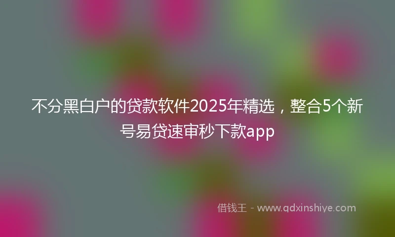 不分黑白户的贷款软件2025年精选，整合5个新号易贷速审秒下款app