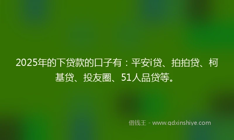 2025年的下贷款的口子有：平安i贷、拍拍贷、柯基贷、投友圈、51人品贷等。