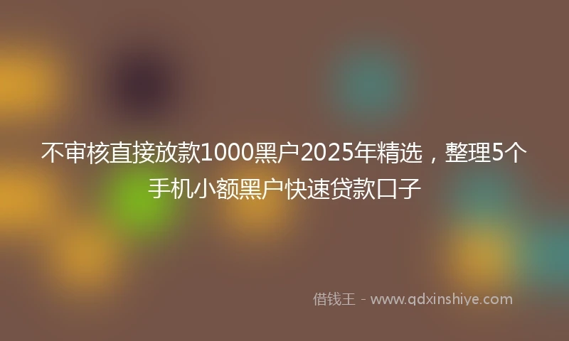 不审核直接放款1000黑户2025年精选，整理5个手机小额黑户快速贷款口子
