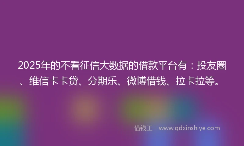 2025年的不看征信大数据的借款平台有：投友圈、维信卡卡贷、分期乐、微博借钱、拉卡拉等。
