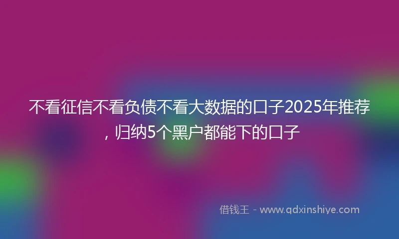 不看征信不看负债不看大数据的口子2025年推荐，归纳5个黑户都能下的口子