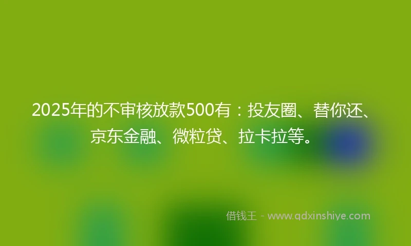 2025年的不审核放款500有：投友圈、替你还、京东金融、微粒贷、拉卡拉等。