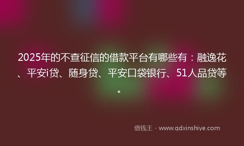2025年的不查征信的借款平台有哪些有：融逸花、平安i贷、随身贷、平安口袋银行、51人品贷等。