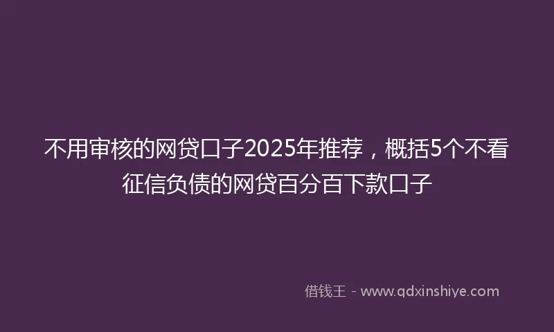 不用审核的网贷口子2025年推荐，概括5个不看征信负债的网贷百分百下款口子
