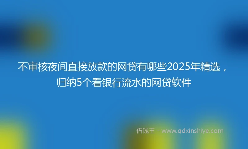 不审核夜间直接放款的网贷有哪些2025年精选，归纳5个看银行流水的网贷软件
