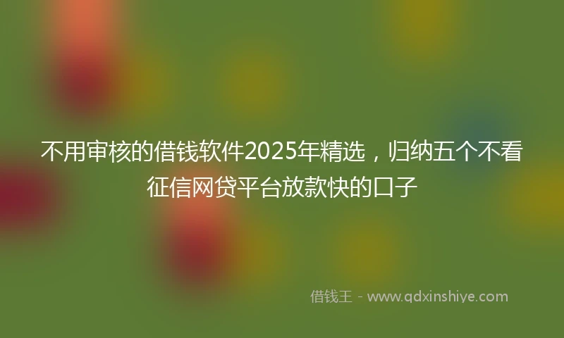 不用审核的借钱软件2025年精选，归纳五个不看征信网贷平台放款快的口子