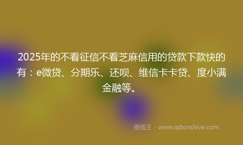2025年的不看征信不看芝麻信用的贷款下款快的有：e微贷、分期乐、还呗、维信卡卡贷、度小满金融等。