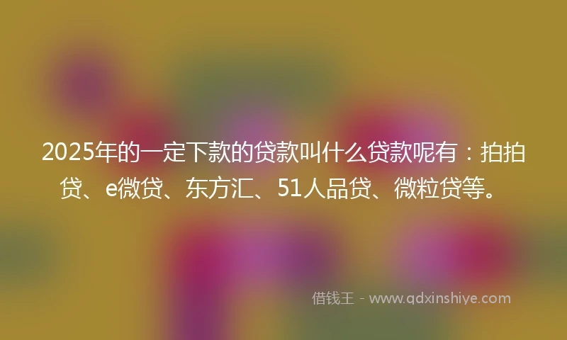 2025年的一定下款的贷款叫什么贷款呢有：拍拍贷、e微贷、东方汇、51人品贷、微粒贷等。