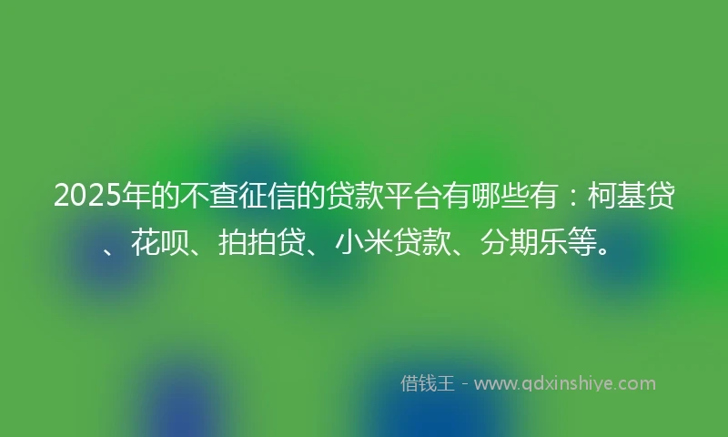 2025年的不查征信的贷款平台有哪些有：柯基贷、花呗、拍拍贷、小米贷款、分期乐等。
