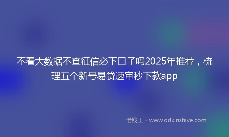 不看大数据不查征信必下口子吗2025年推荐，梳理五个新号易贷速审秒下款app