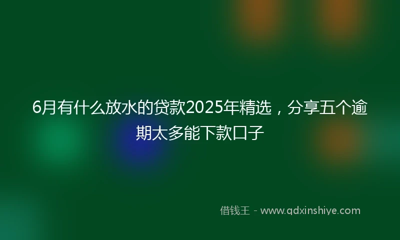 6月有什么放水的贷款2025年精选，分享五个逾期太多能下款口子