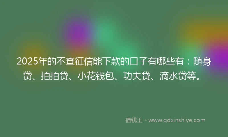 2025年的不查征信能下款的口子有哪些有：随身贷、拍拍贷、小花钱包、功夫贷、滴水贷等。