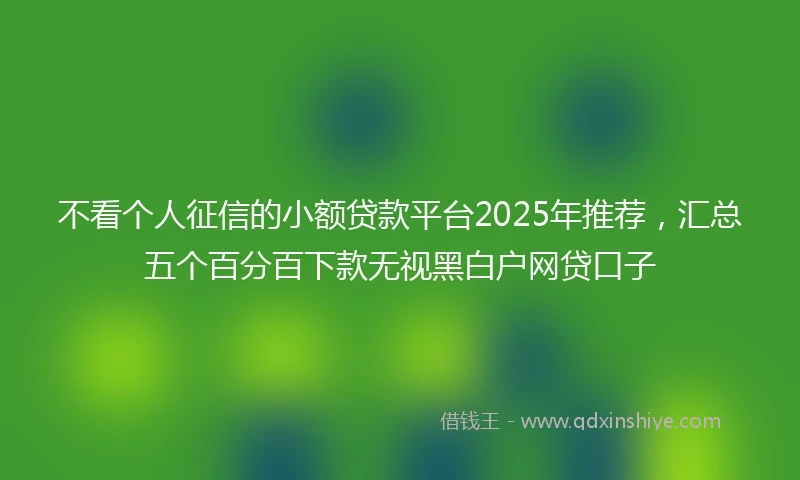 不看个人征信的小额贷款平台2025年推荐，汇总五个百分百下款无视黑白户网贷口子