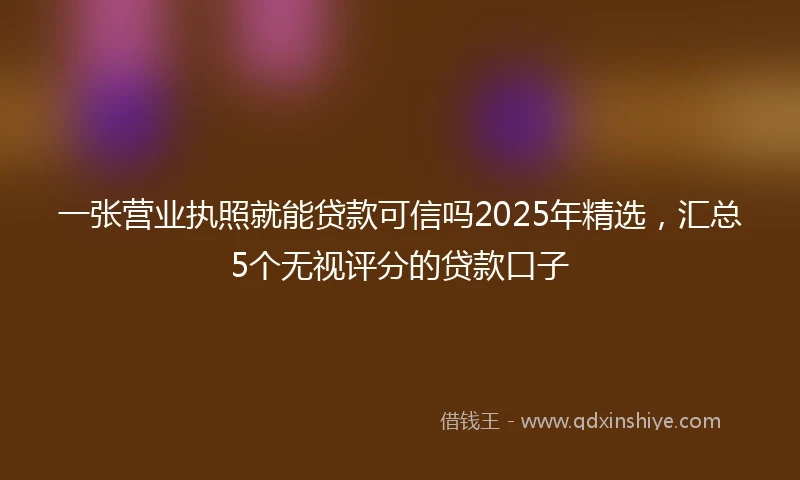 一张营业执照就能贷款可信吗2025年精选，汇总5个无视评分的贷款口子