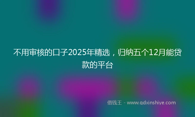 不用审核的口子2025年精选，归纳五个12月能贷款的平台