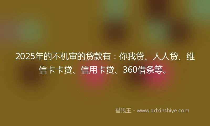 2025年的不机审的贷款有：你我贷、人人贷、维信卡卡贷、信用卡贷、360借条等。