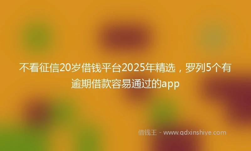 不看征信20岁借钱平台2025年精选，罗列5个有逾期借款容易通过的app