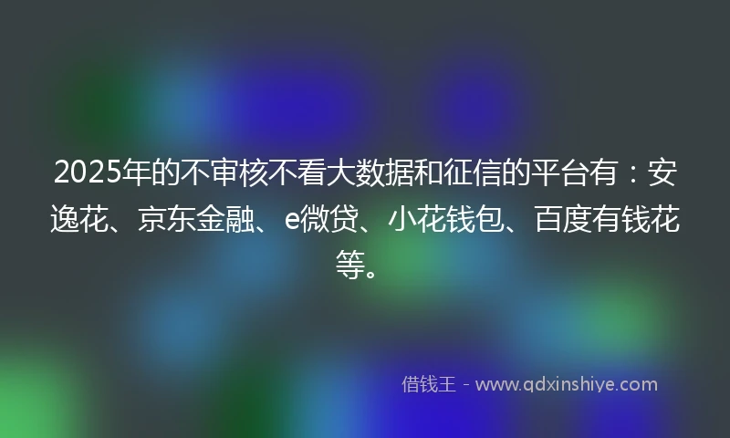 2025年的不审核不看大数据和征信的平台有：安逸花、京东金融、e微贷、小花钱包、百度有钱花等。