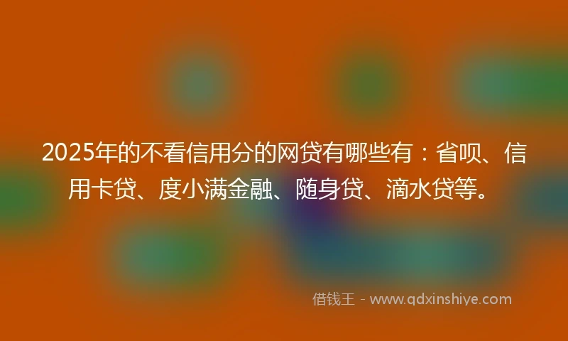 2025年的不看信用分的网贷有哪些有：省呗、信用卡贷、度小满金融、随身贷、滴水贷等。