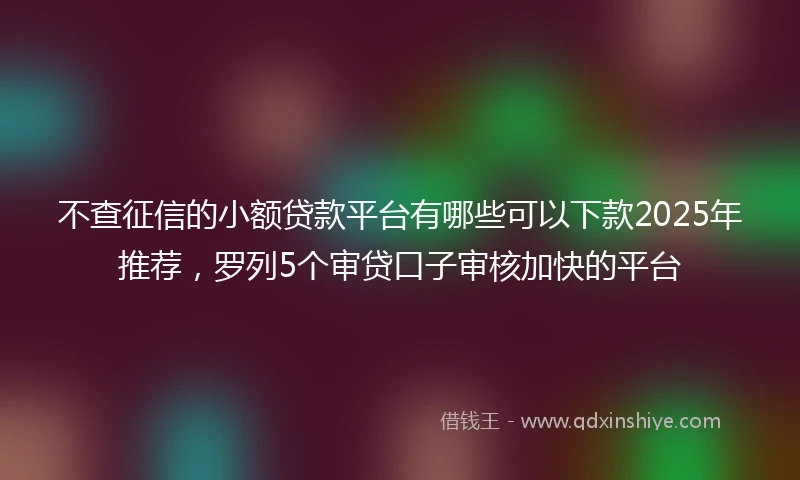 不查征信的小额贷款平台有哪些可以下款2025年推荐，罗列5个审贷口子审核加快的平台