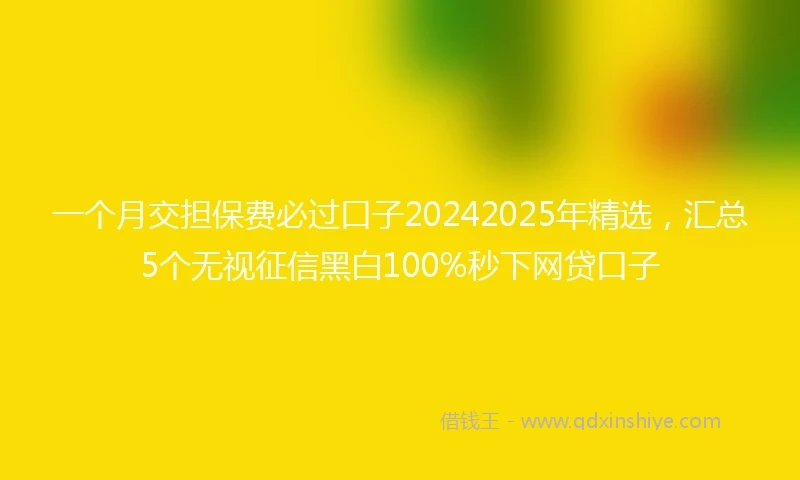 一个月交担保费必过口子20242025年精选，汇总5个无视征信黑白100%秒下网贷口子