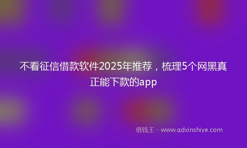 不看征信借款软件2025年推荐，梳理5个网黑真正能下款的app